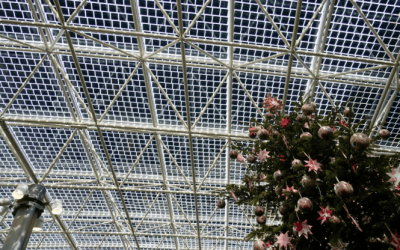 Solar Surpasses Coal: A Milestone in the EU’s Energy Transition