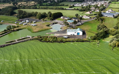 UK’s largest lake faces environmental crisis as rescue plans stall