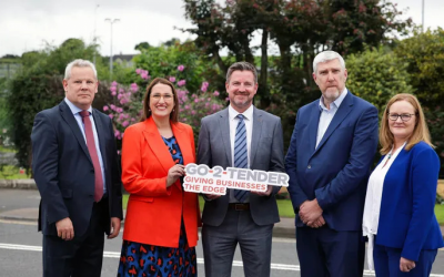 Go-2-Tender ramps up to help SMEs unlock €21 billion in public contracts