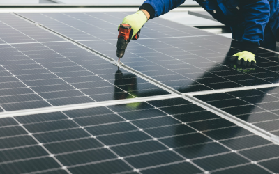 Solar adoption gains serious traction in Ireland with 700 Leinster installs
