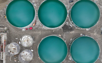 Gas Networks Ireland to connect €50m Kildare biomethane plant to national network