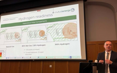 Hydrogen ambitions face economic and policy barriers in Ireland