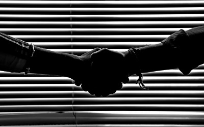 SMEs call for EU action to boost competitiveness and embrace AI