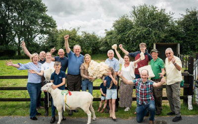 Avoca partners with Galway Wool Co-Op to launch first native Irish wool collection