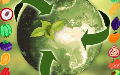 EU sustainability reporting shifts reshape compliance landscape