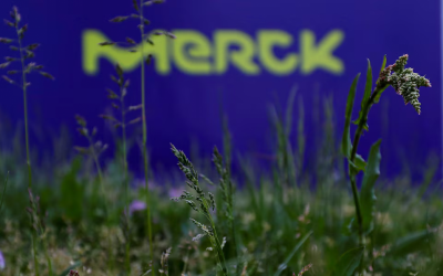 Merck trims 2026 outlook as healthcare growth slows
