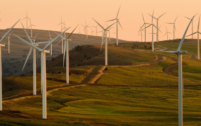 Sindh launches first B2B green energy project with hybrid wind and solar plant