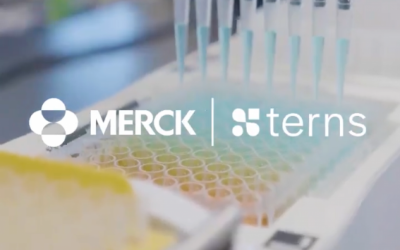 Merck acquires Terns Pharmaceuticals for $6.7 billion to expand hematology portfolio