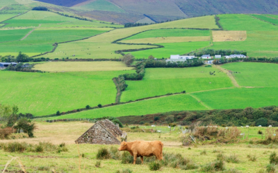 Ireland’s methane strategy risks derailing climate goals