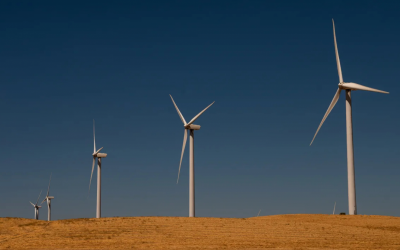 Trump administration cancels $679 million for offshore wind projects