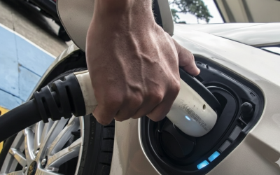 Fuel prices hold steady but EV charging and home energy costs edge higher