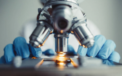 Scientific Leadership