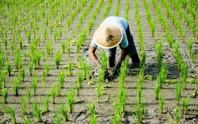 Food investors face $38 trillion climate threat