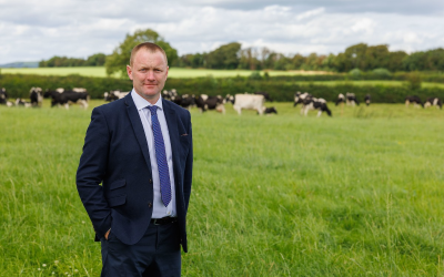 Irish farmers' association calls for dairy co-operative partnership to deliver supplier benefits