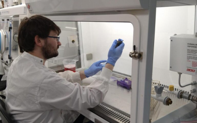 Belfast drug discovery firm secures South Korean strategic investment