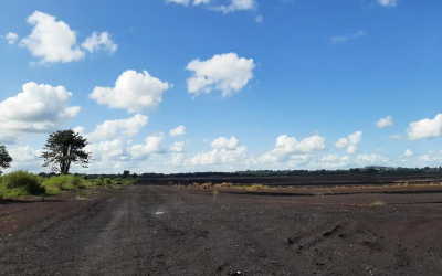 Illegal peat extraction exposes gaps in operational oversight