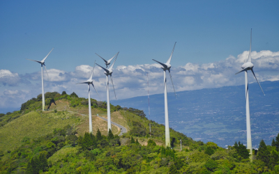 Business AND sustainability