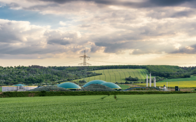 Regulatory Green Light Clears Path for Ireland's Biomethane Ambitions