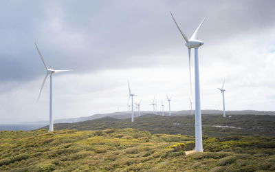 Irish wind farms deliver third of national electricity despite grid constraints