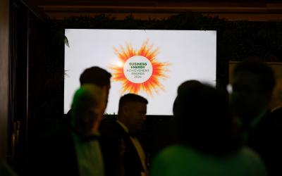 Meet the Judges of the Business Energy Achievement Awards: Their Expertise and What They Value