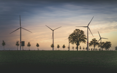 Irish wind industry backs infrastructure action plan to boost energy independence