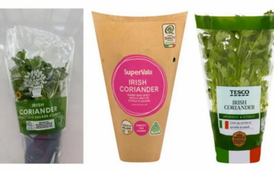 Hummus recall highlights ongoing food safety pressures