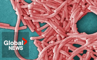 Ontario food manufacturer’s cooling tower likely source of deadly legionnaires’ outbreak