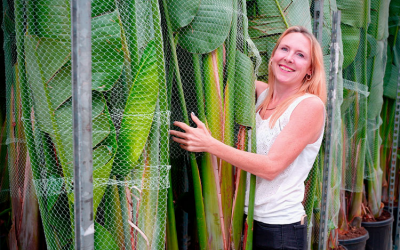 Marie Caffrey brings decades of expertise as Judge of Facilities Management Awards 2026