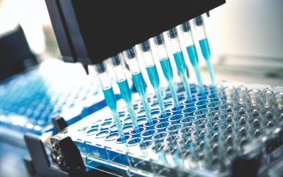 SGS ISL Expands Capabilities with Polarised Light Microscopy for Asbestos Testing