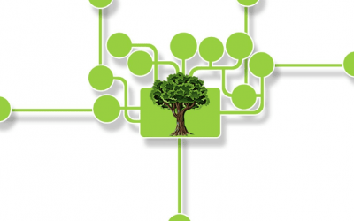 The Future of Sustainability is Here—and It’s Profitable