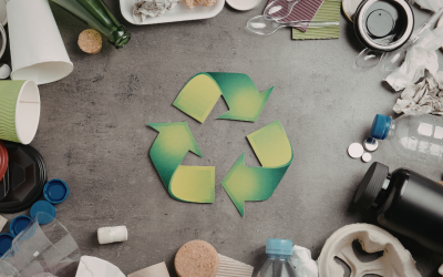 Ireland Backs Circularity as a Growth Strategy With Its New Whole of Government Plan