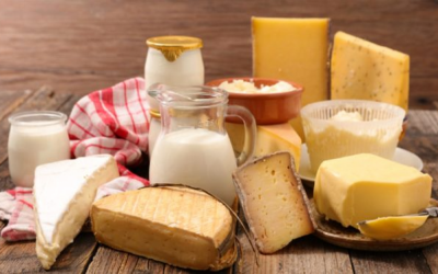 EU audits expose gaps in UK and Irish dairy controls