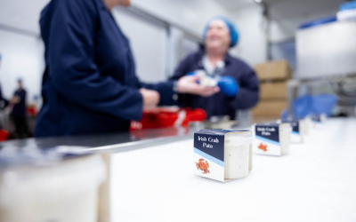 Shellfish Ireland completes €500,000 investment with renewable energy integration