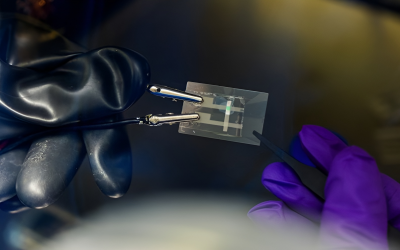 UChicago researchers develop stretchable OLED screens for next generation devices