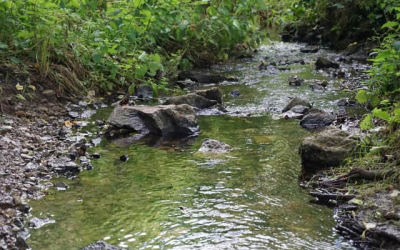 Pharma pollution crisis grips UK rivers