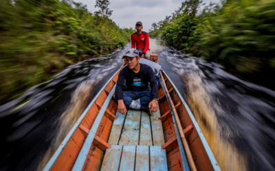 Exposing environmental crime cartels in Indonesia