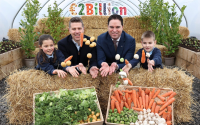 Lidl Ireland procures €136m from Cork suppliers in 2025