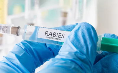 HSE restructures rare infectious disease care, shifting delivery to regional teams