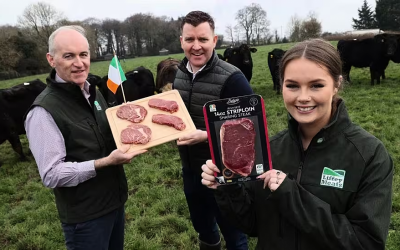 Lidl Ireland secures €7.5m beef export deal for Cavan producer