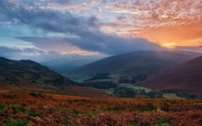Ireland’s emissions progress risks falling short of 2030 targets