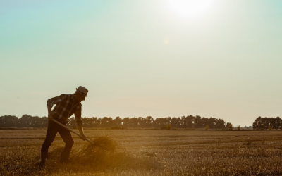 Farm safety discussions highlight urgent wellbeing focus
