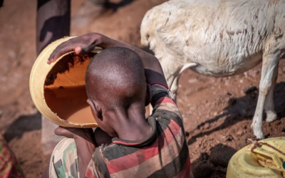 UN says 2bn people lack access to safe drinking water