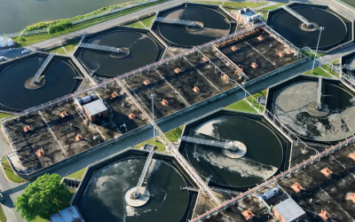 Avove expands into Northern Ireland with Jacopa Ireland acquisition