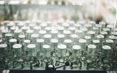 Ireland's Glass Container Sector: A Clear Case for Circular Manufacturing