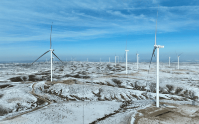 Wind Energy: Saving Millions, Driving Sustainability