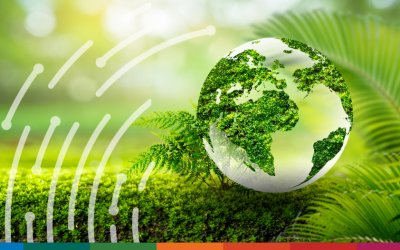 ESG rule divergence is set to complicate Irish compliance