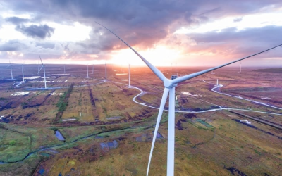 Wind drives down bills and builds resilience