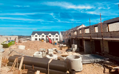 Davy urges bold budget action to ramp up housing delivery