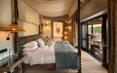 andBeyond reopens Phinda Zuka Lodge following refurbishment in South African private game reserve
