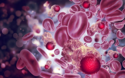 Pharma ExCellThera's novel blood cancer stem cell therapy Zemcelpro earns EU nod